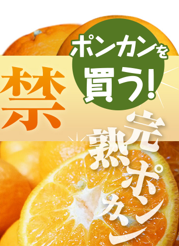 ポンカンを買うボタン